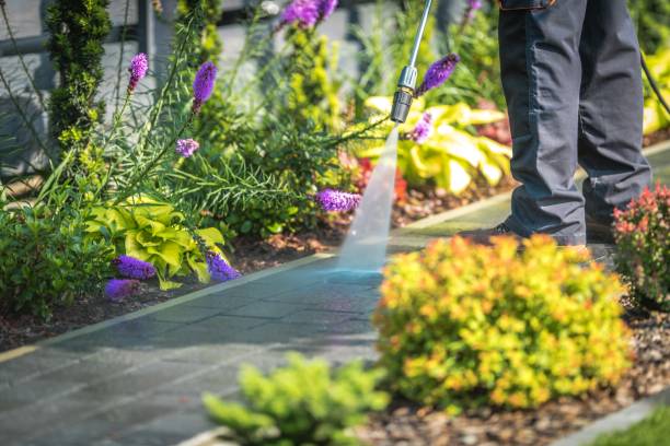 Best Pre-Holiday Cleaning  in Vinco, PA